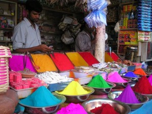 india-colors-dr-lopa-gupta