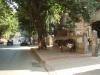 streets_of_mahuva